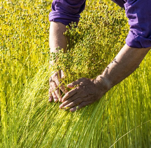 Linen: Woven in Tradition